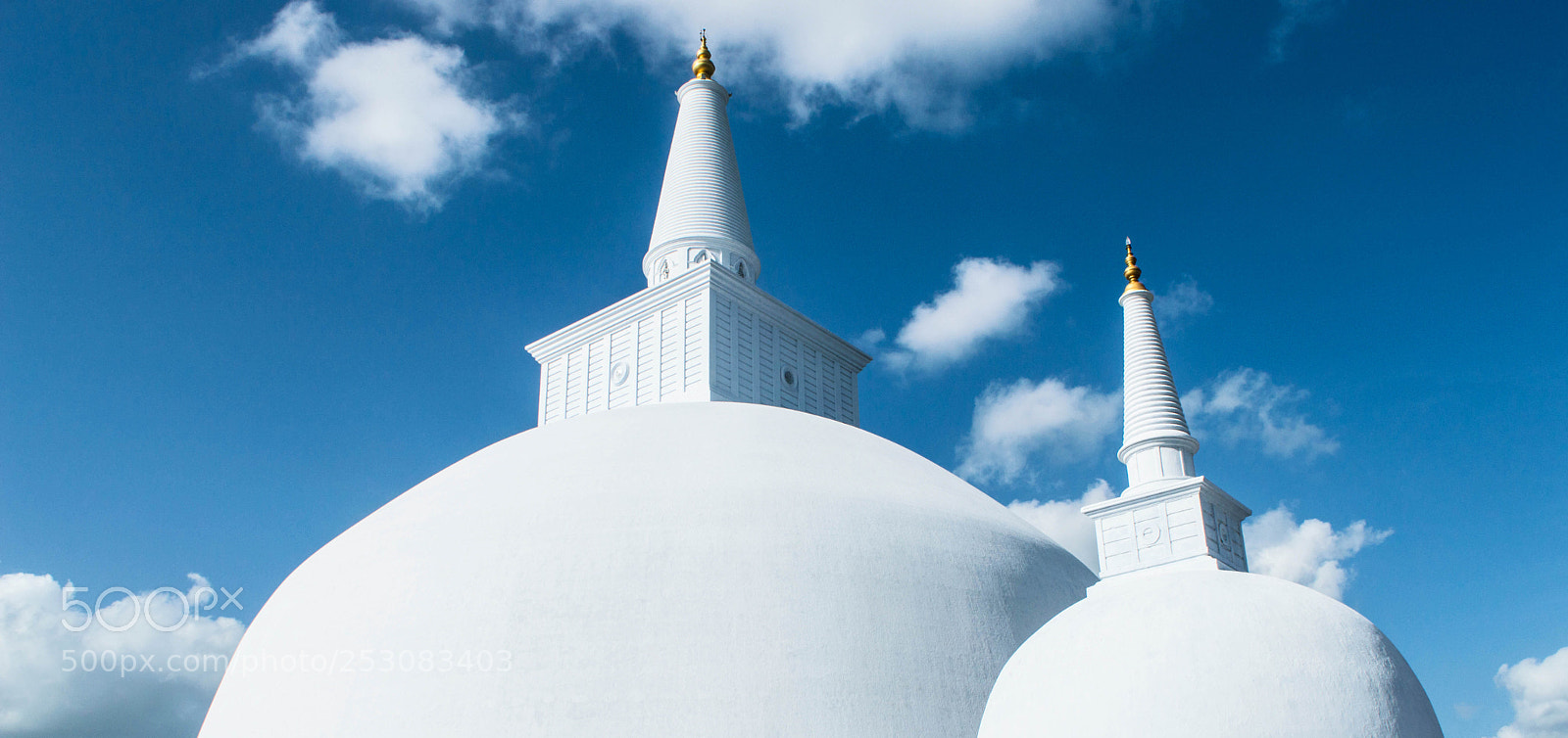 Nikon D3200 sample photo. Dsc photography