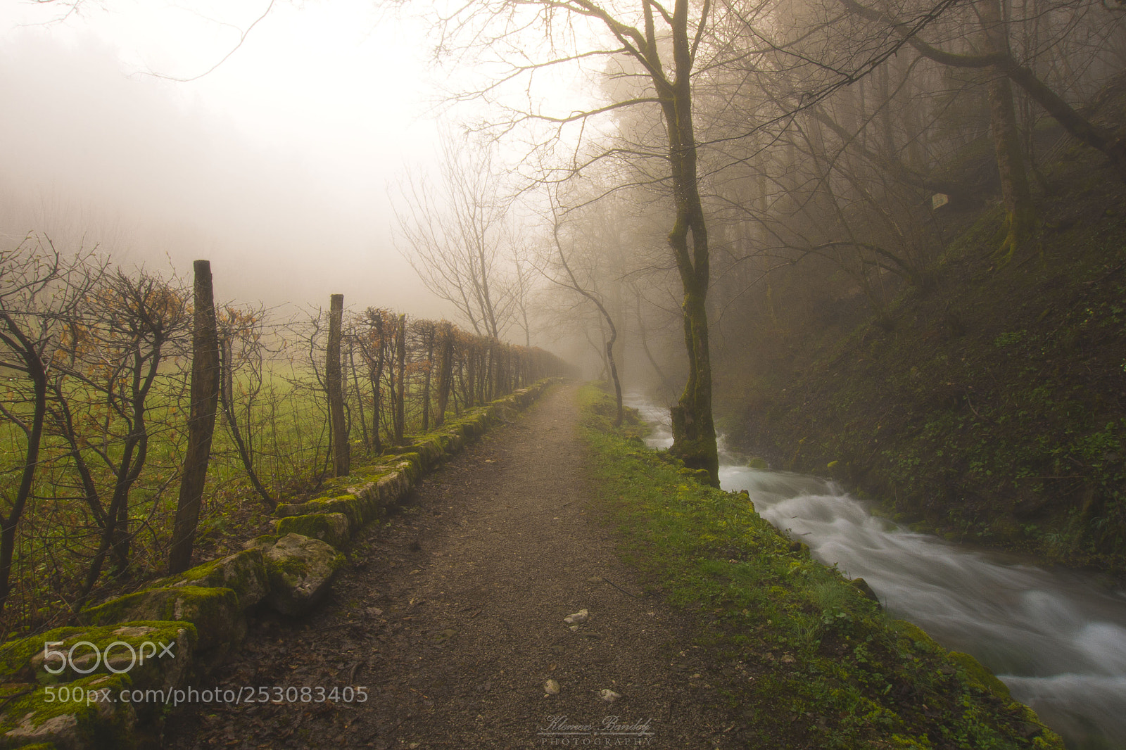 Nikon D7200 sample photo. The foggy path photography