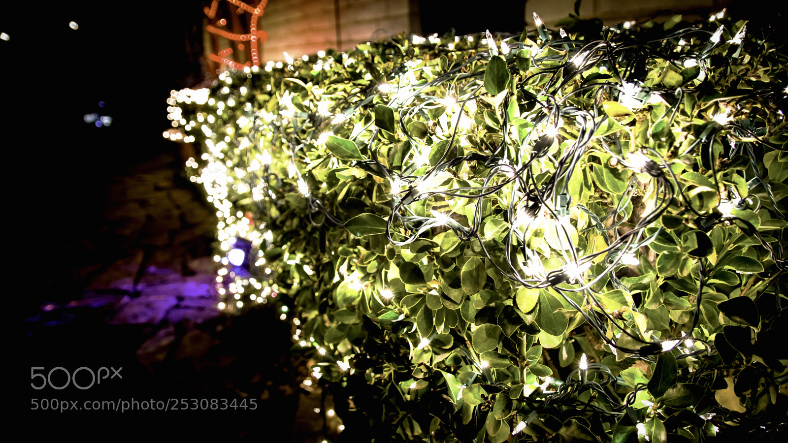 Canon EOS 650D (EOS Rebel T4i / EOS Kiss X6i) sample photo. Christmas lights photography