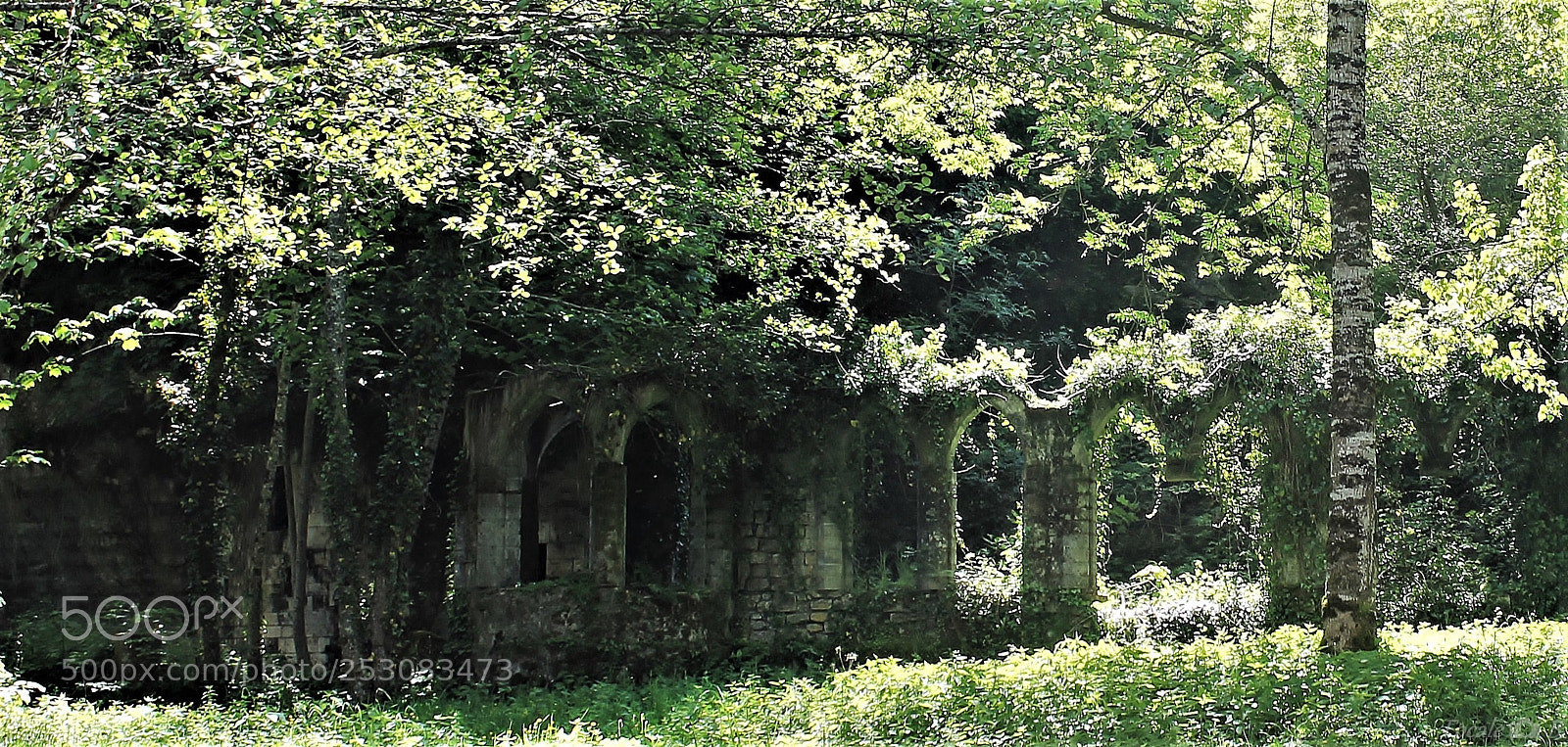 Canon EOS 1100D (EOS Rebel T3 / EOS Kiss X50) sample photo. Nature is stronger than photography