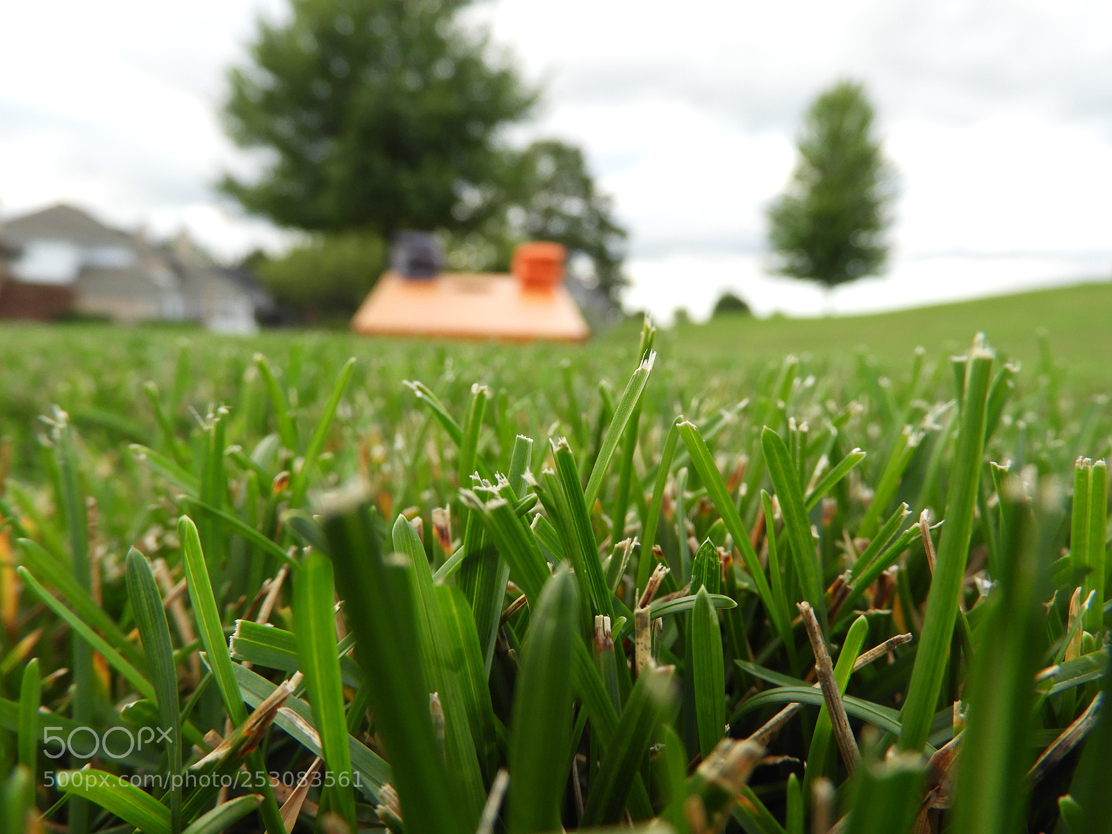 Nikon Coolpix B700 sample photo. Blurred bean bag game photography