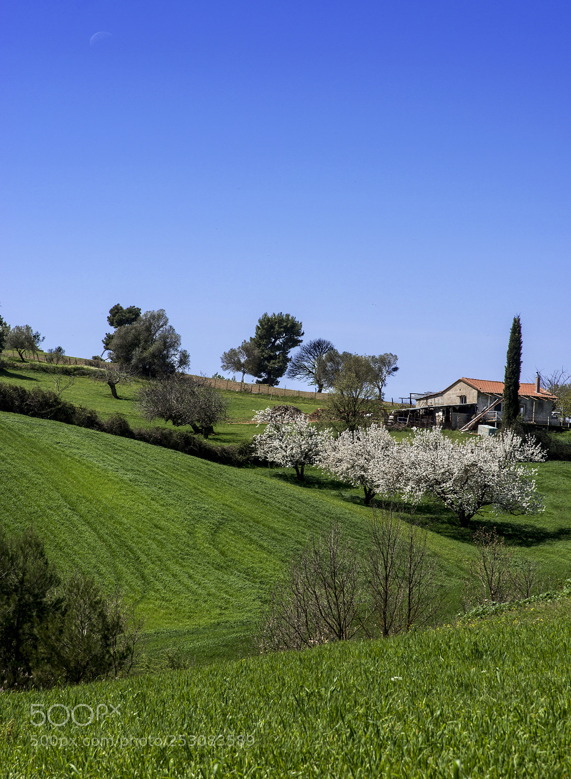 Nikon D800 sample photo. Spring.... photography