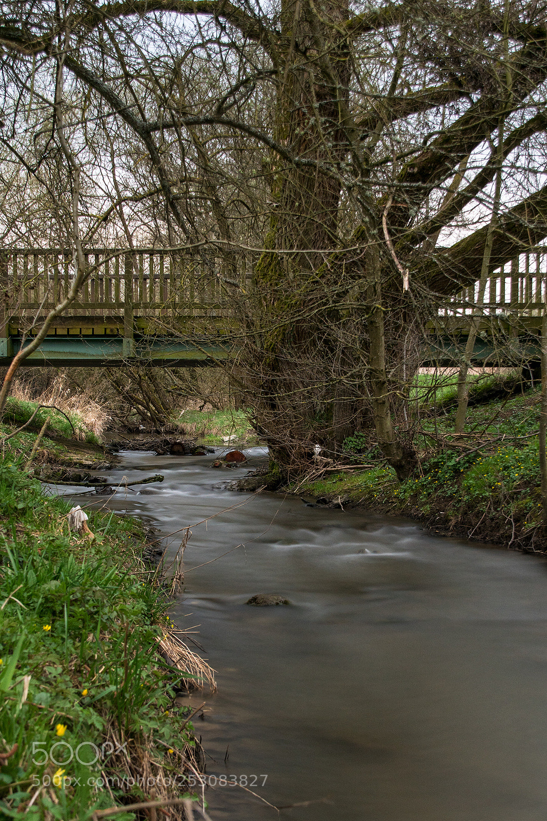 Sony ILCA-77M2 sample photo. River aar photography