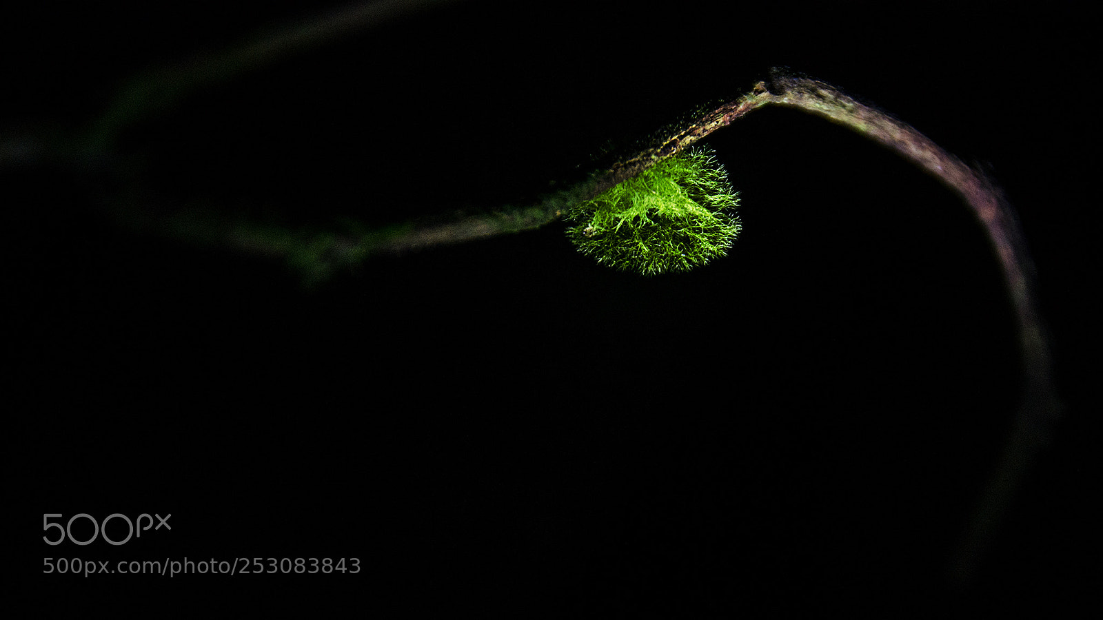 Nikon D7000 sample photo. Light in the dark photography