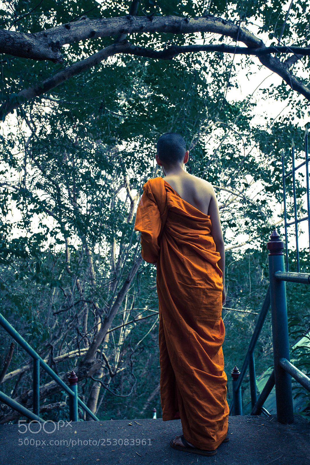 Canon EOS 5D Mark II sample photo. Buddhist way photography