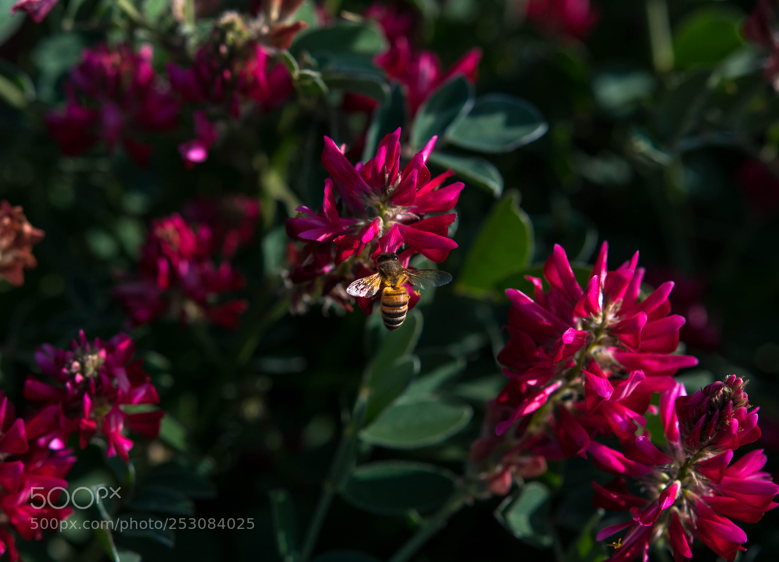 Nikon D3400 sample photo. Beautiful nature photography