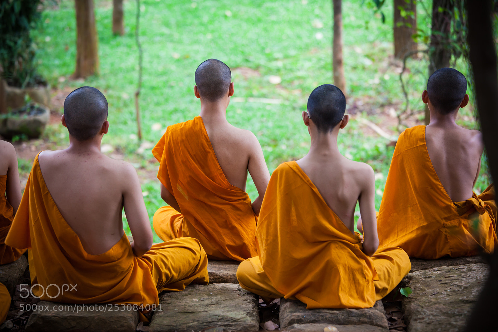 Canon EOS 5D Mark II sample photo. Buddhist way photography