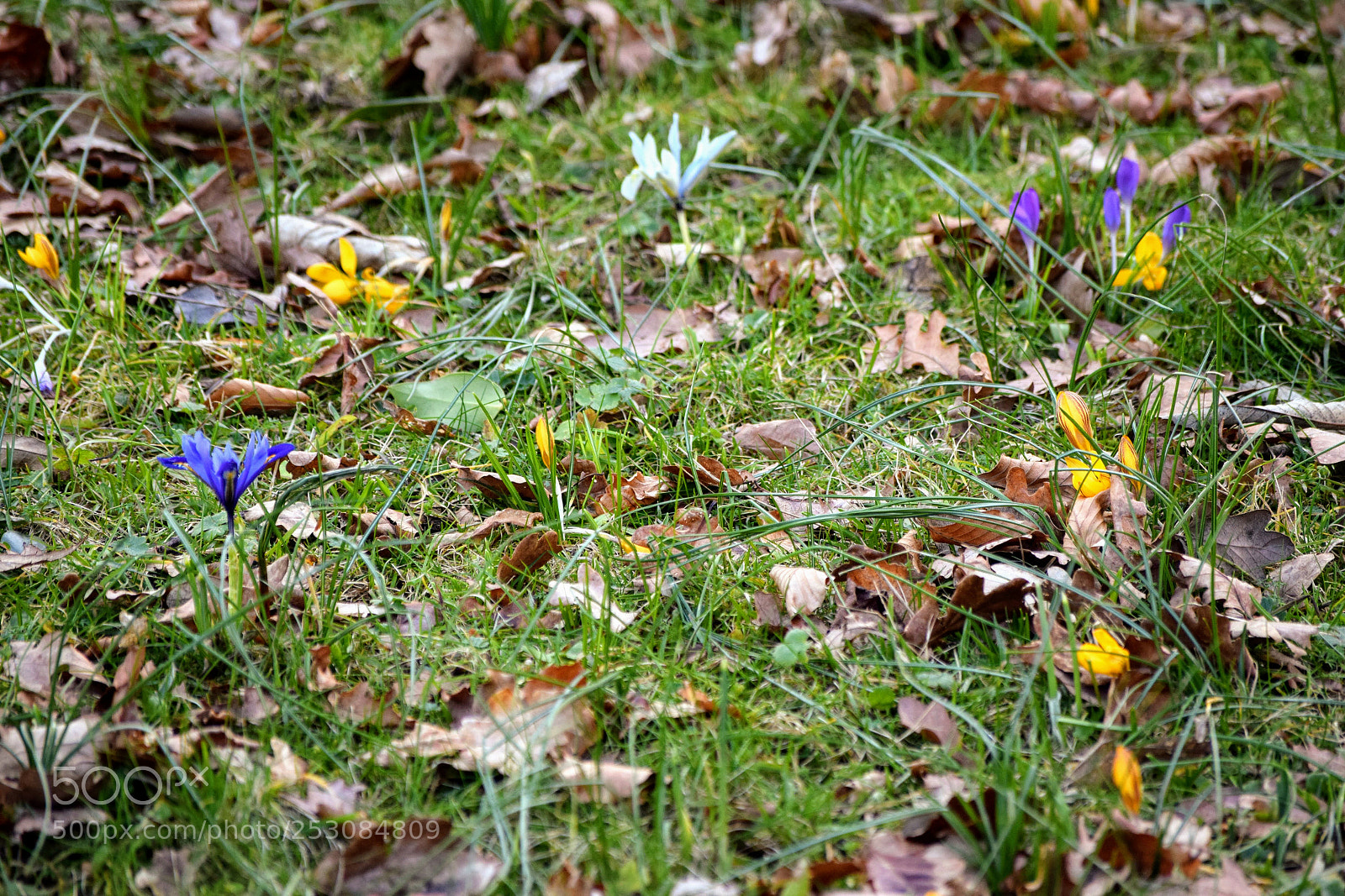 Nikon D3300 sample photo. Richmond park photography