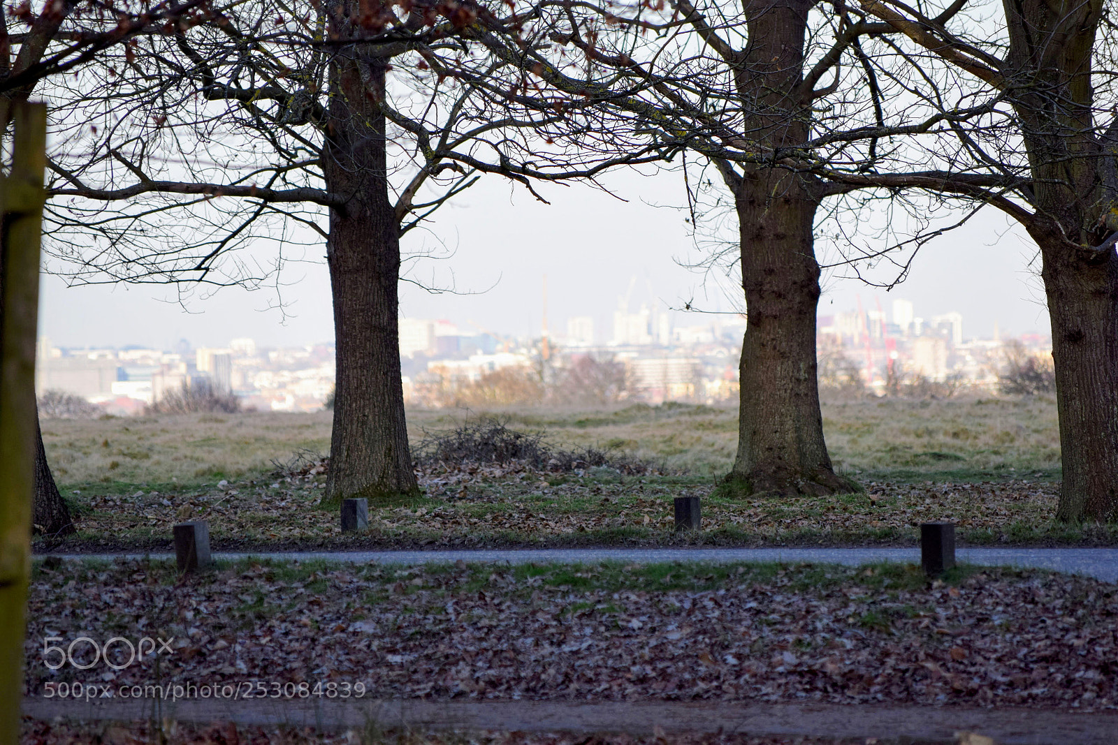 Nikon D3300 sample photo. Richmond park photography