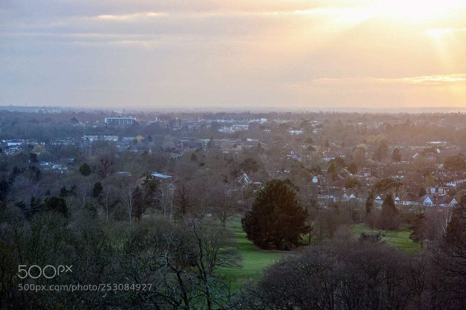 Nikon D3300 sample photo. Richmond park photography
