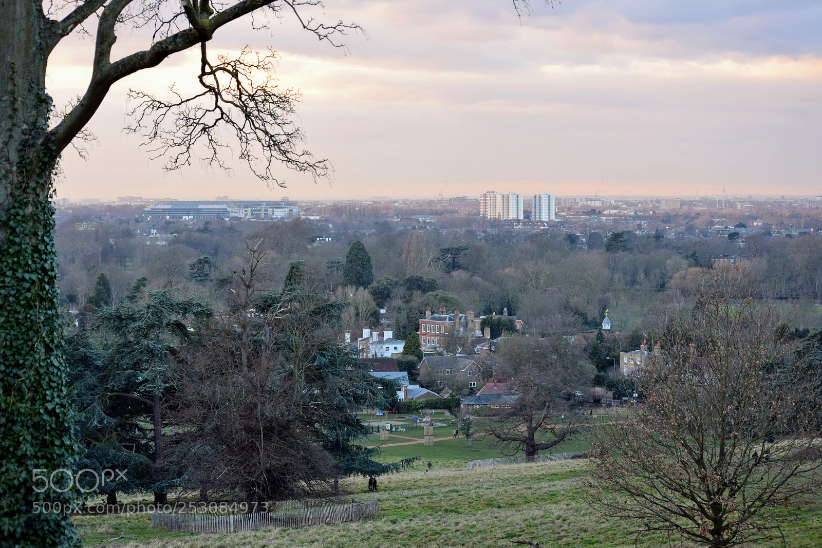 Nikon D3300 sample photo. Richmond park photography