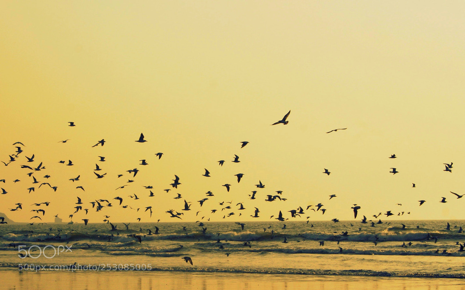 Canon EOS 1000D (EOS Digital Rebel XS / EOS Kiss F) sample photo. Sunset on beach photography