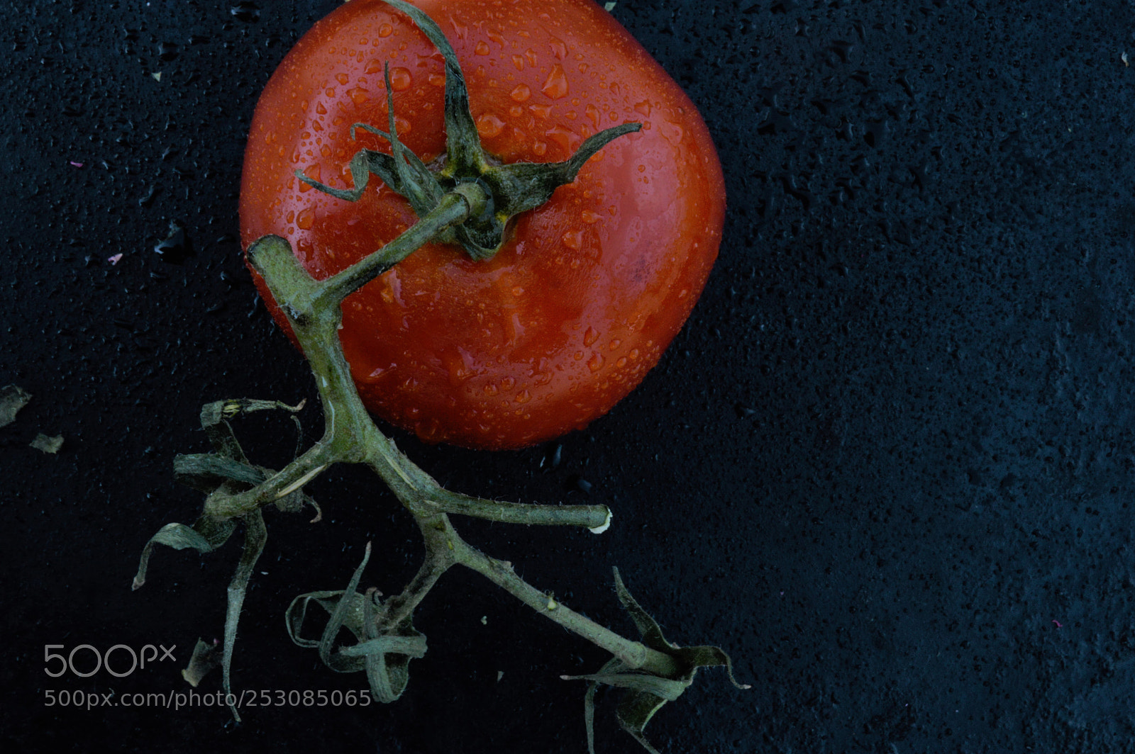 Nikon D3200 sample photo. The tomato photography