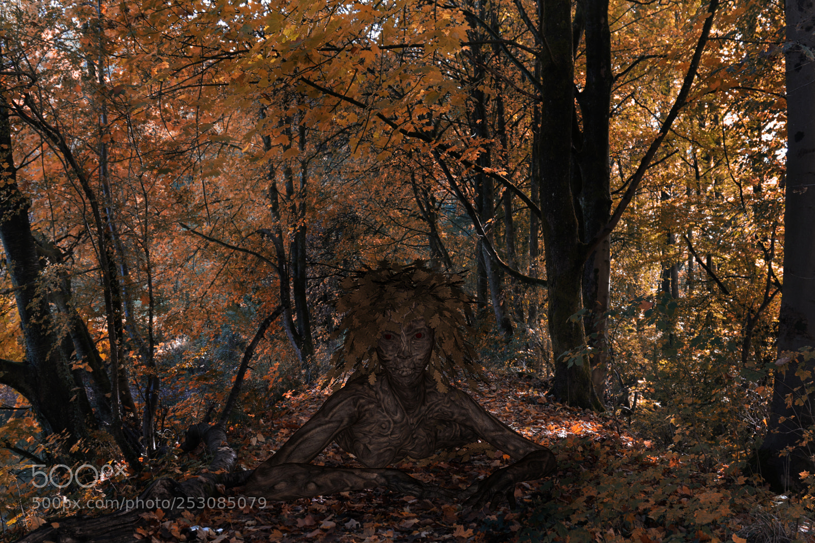 Canon EOS 7D Mark II sample photo. Into the woods photography