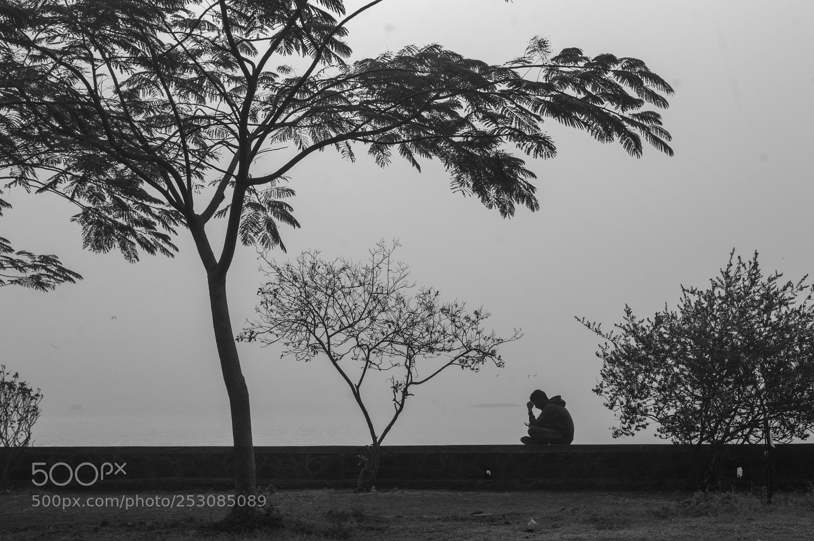 Nikon D3200 sample photo. Engrossed photography