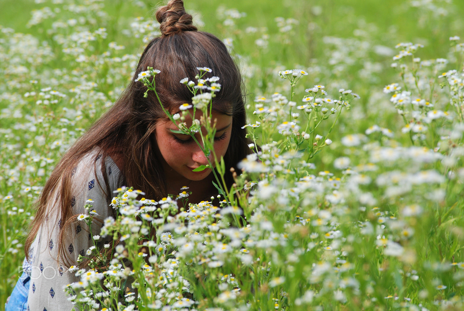 Nikon D80 sample photo. Daisy photography
