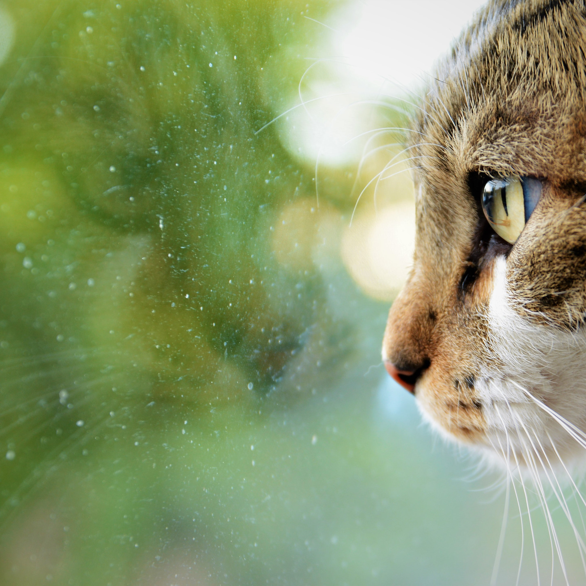 Sigma 17-70mm F2.8-4 DC Macro OS HSM | C sample photo. Gia photography