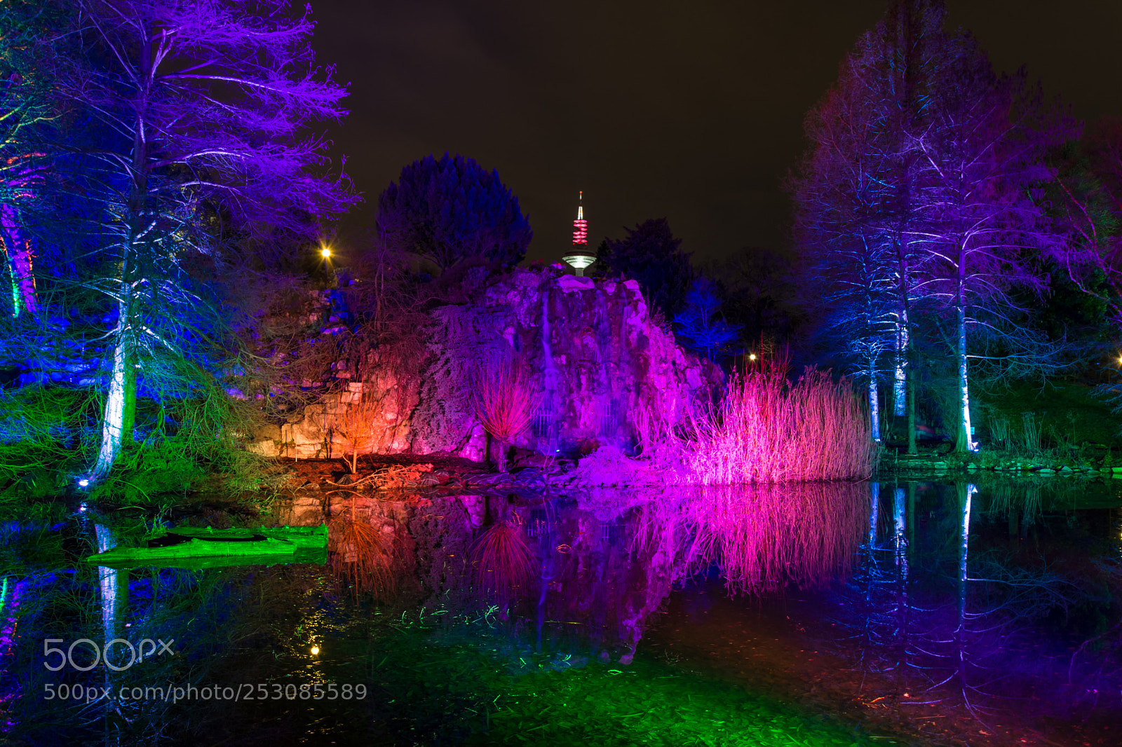 Nikon D7200 sample photo. Palmengarten frankfurt winterlichter photography