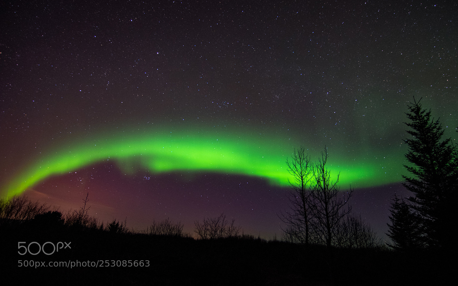 Nikon D5300 sample photo. Icelandic northern lights photography