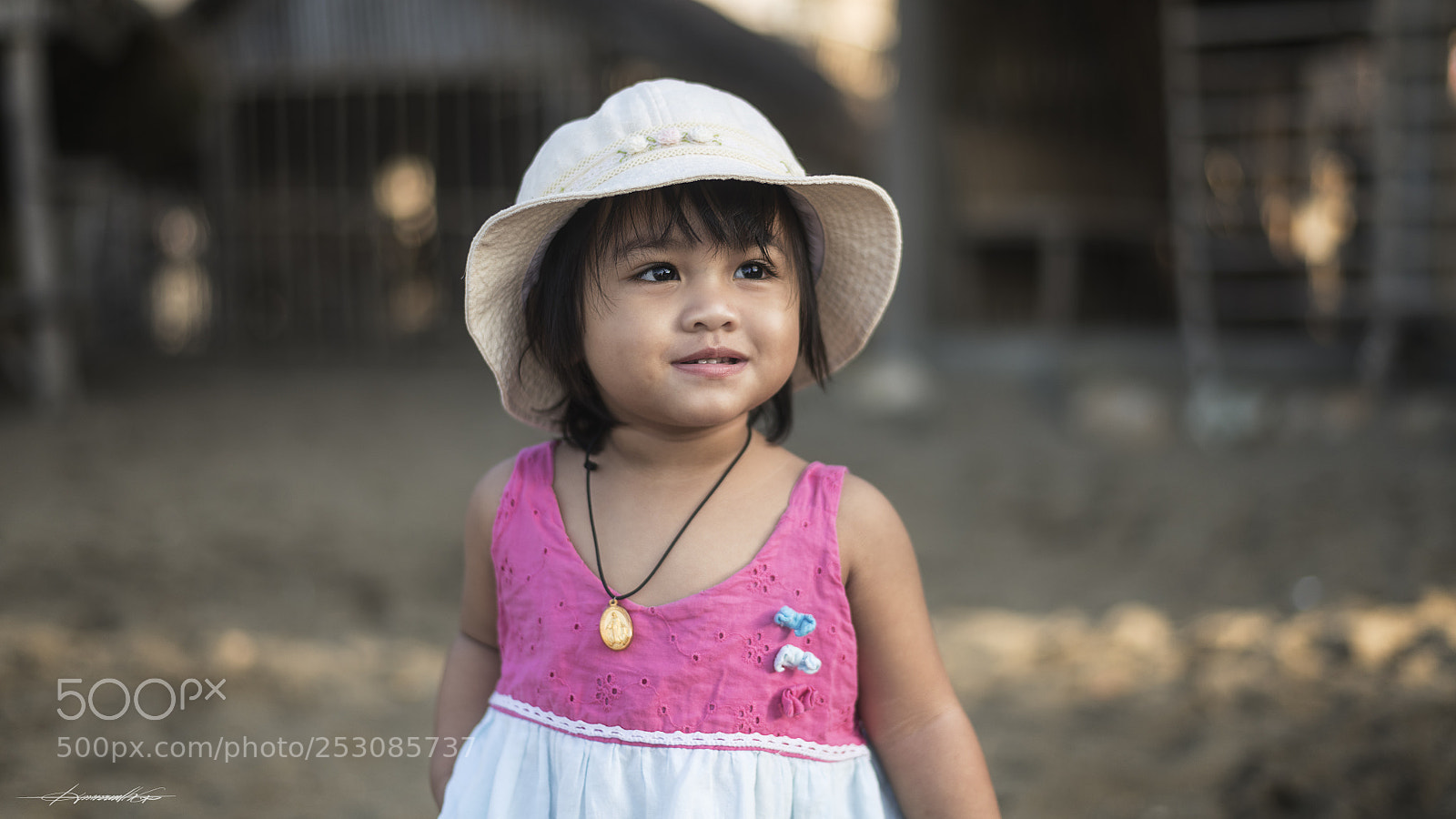 Nikon D850 sample photo. Phoenix photography