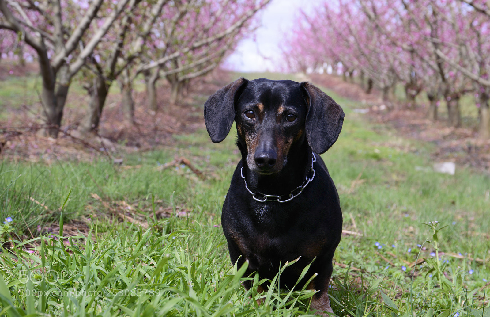 Nikon D3200 sample photo. Jack photography