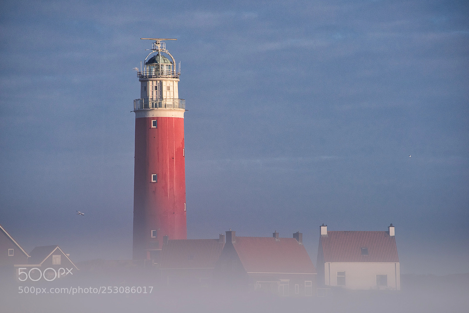 Nikon D810 sample photo. Misty morning photography