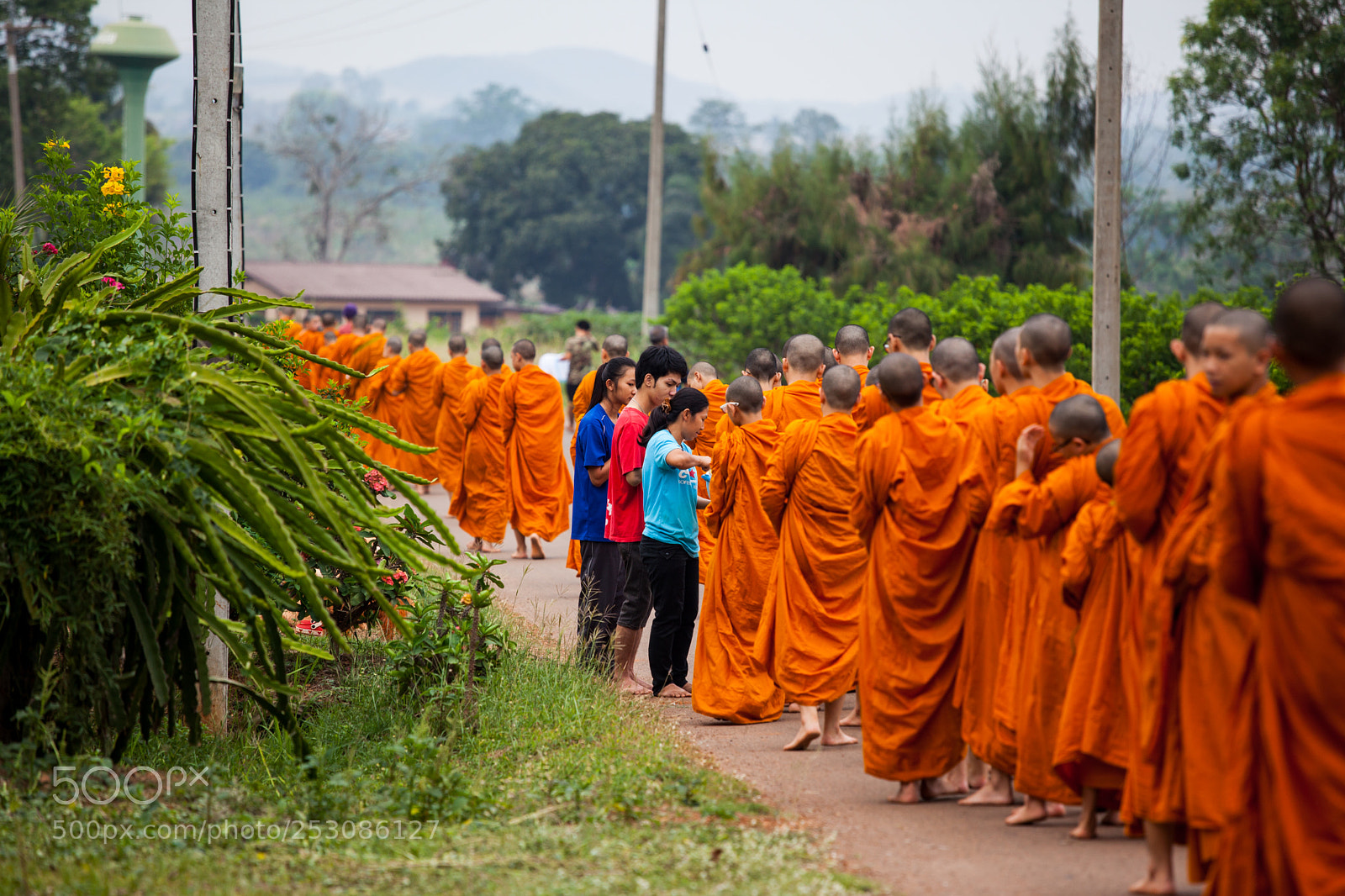 Canon EOS 5D Mark II sample photo. Buddhist way photography