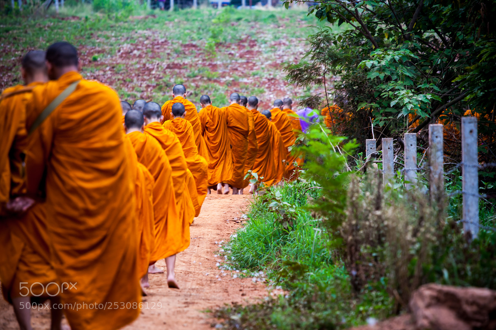 Canon EOS 5D Mark II sample photo. Buddhist way photography