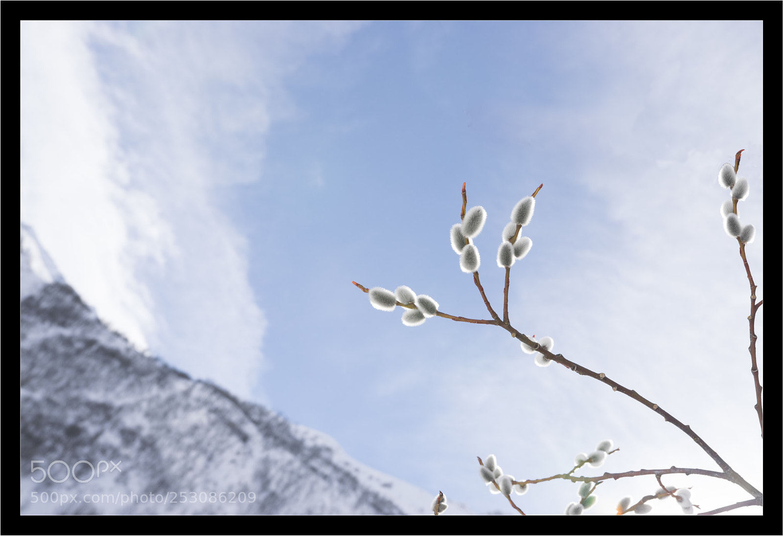 Nikon D5300 sample photo. Hiver-printemps photography