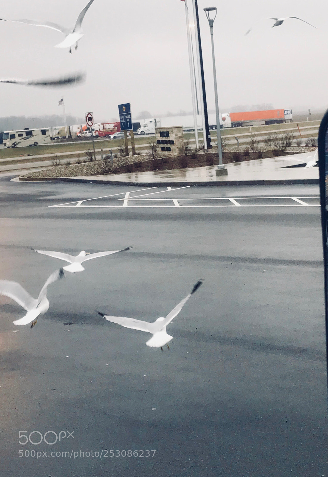 Apple iPhone 7 Plus sample photo. That day the sea photography