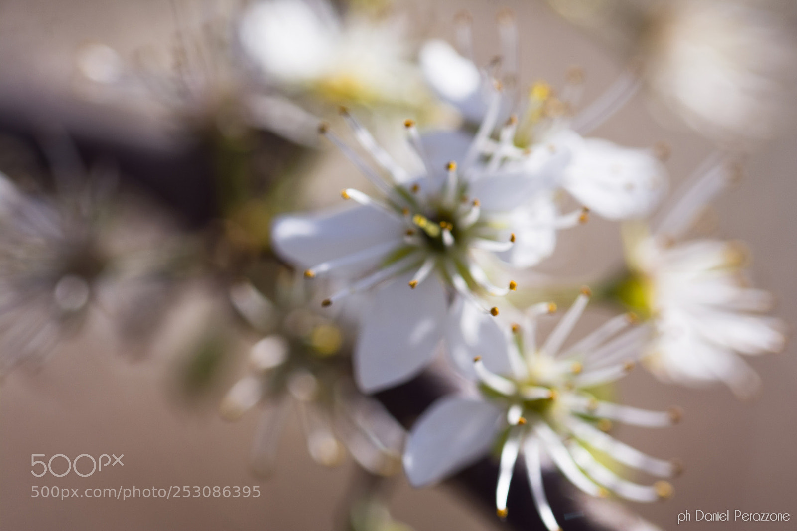 Nikon D7100 sample photo. Take a walk on photography