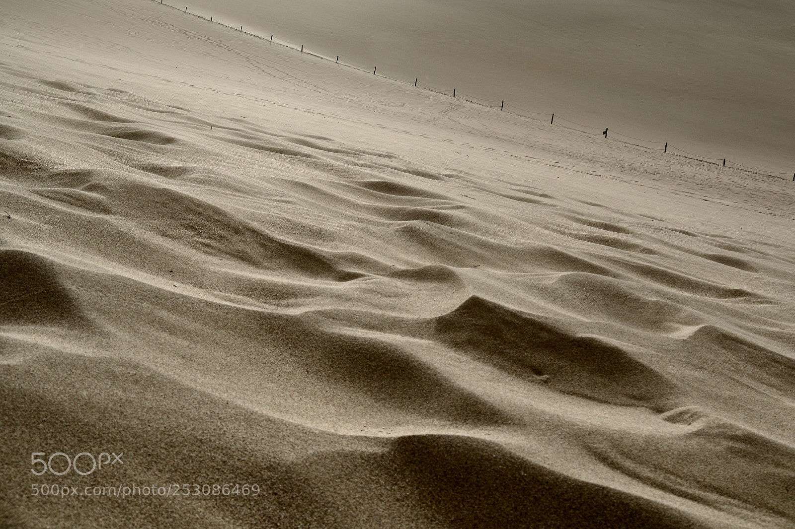 Canon EOS 7D Mark II sample photo. Desert鸣沙山 photography