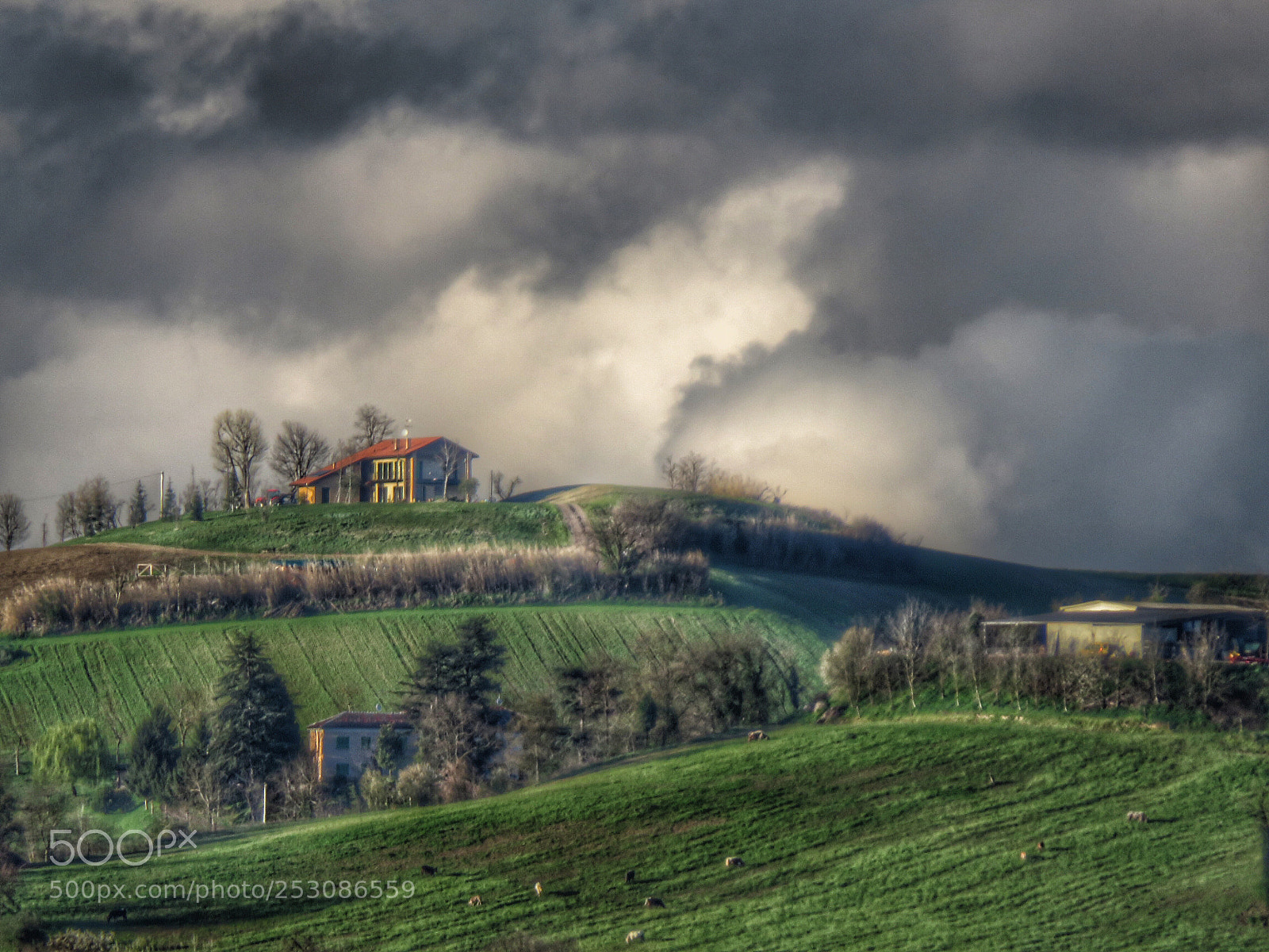 Canon PowerShot SX60 HS sample photo. Monferrato  photography