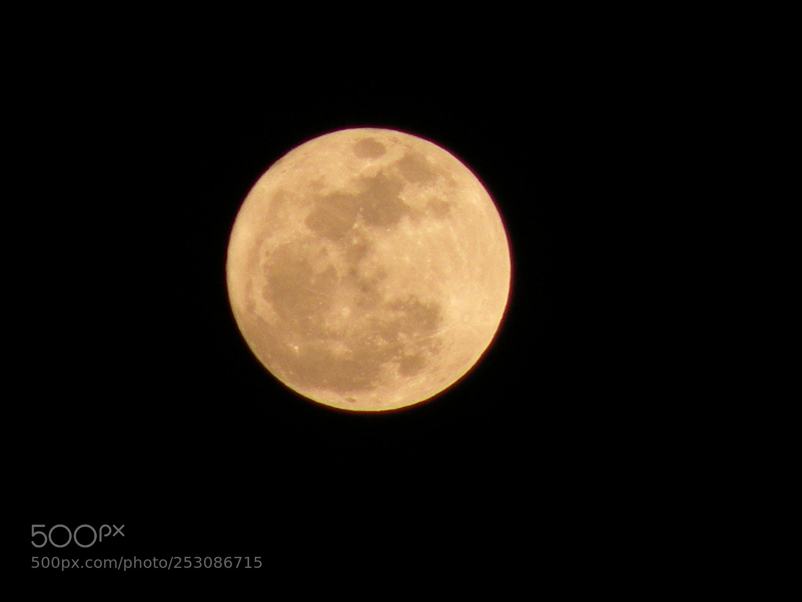 Nikon Coolpix P80 sample photo. Moon photography