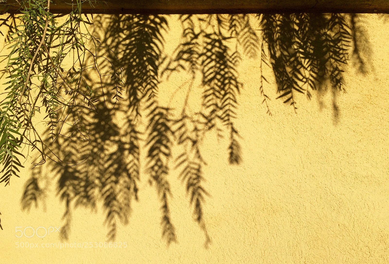 Apple iPhone 5s sample photo. Shadows 2 photography