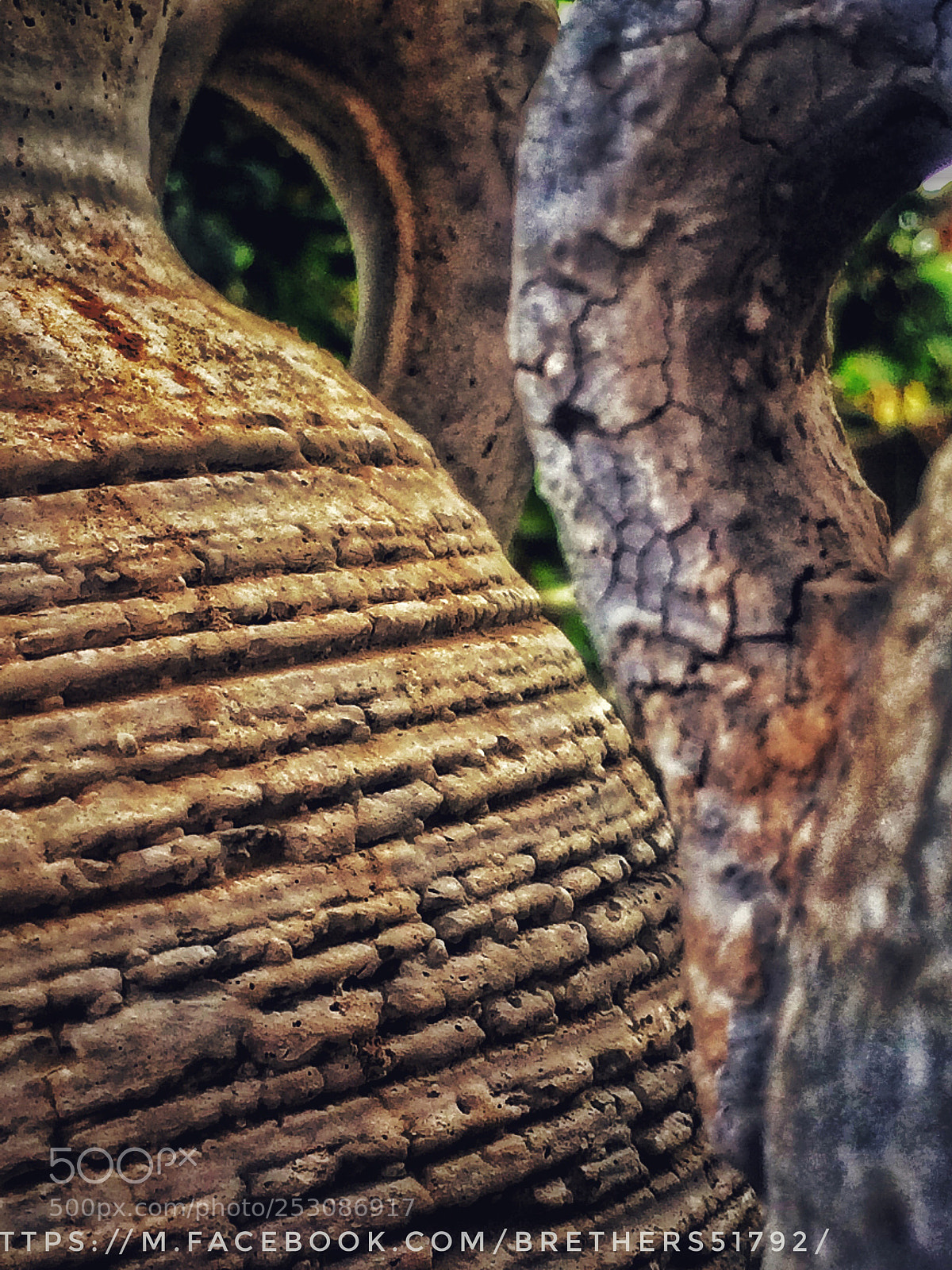 Apple iPhone 5s sample photo. Untitled photography