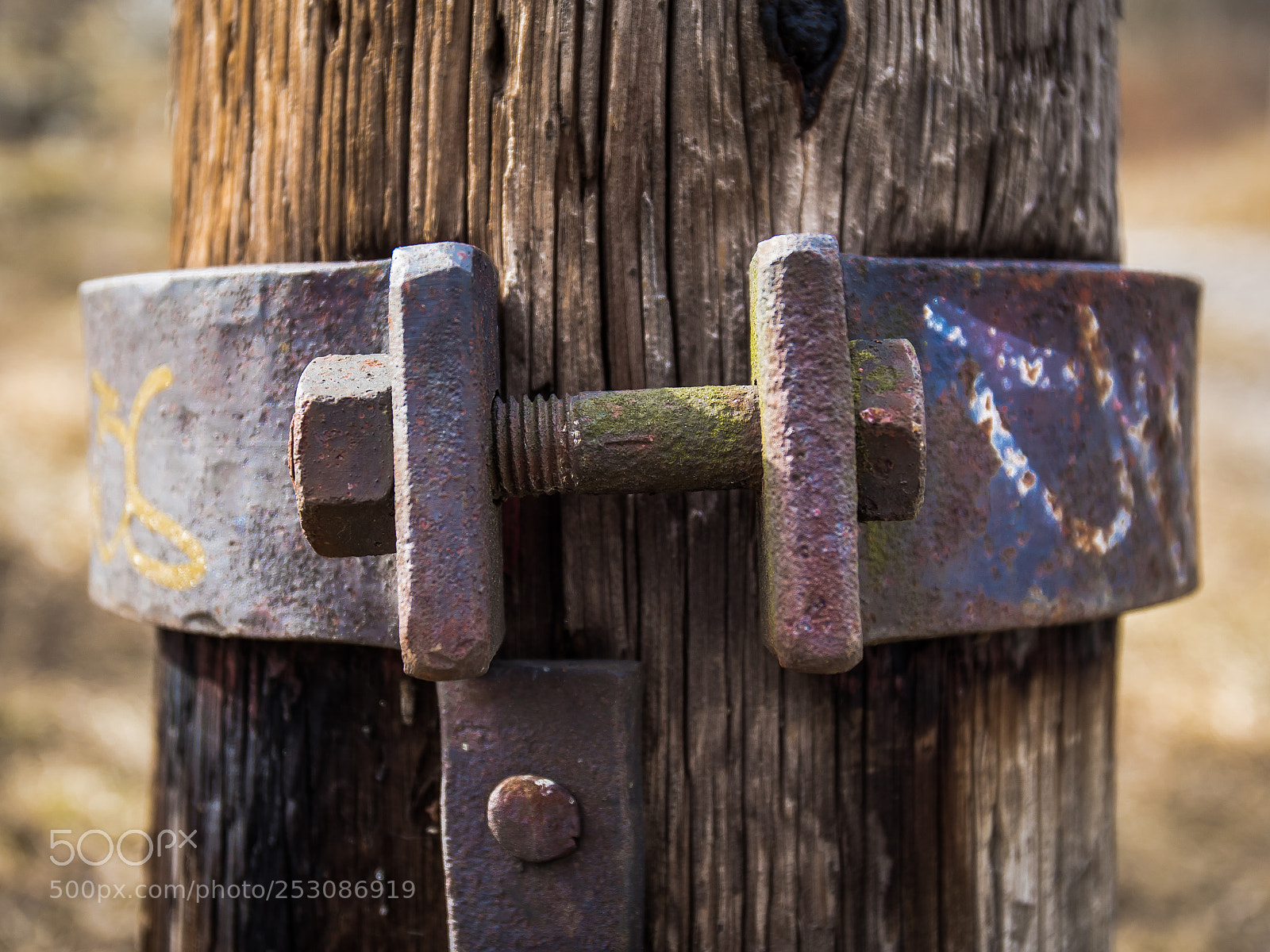 Canon EOS 5D Mark IV sample photo. Iron and wood photography