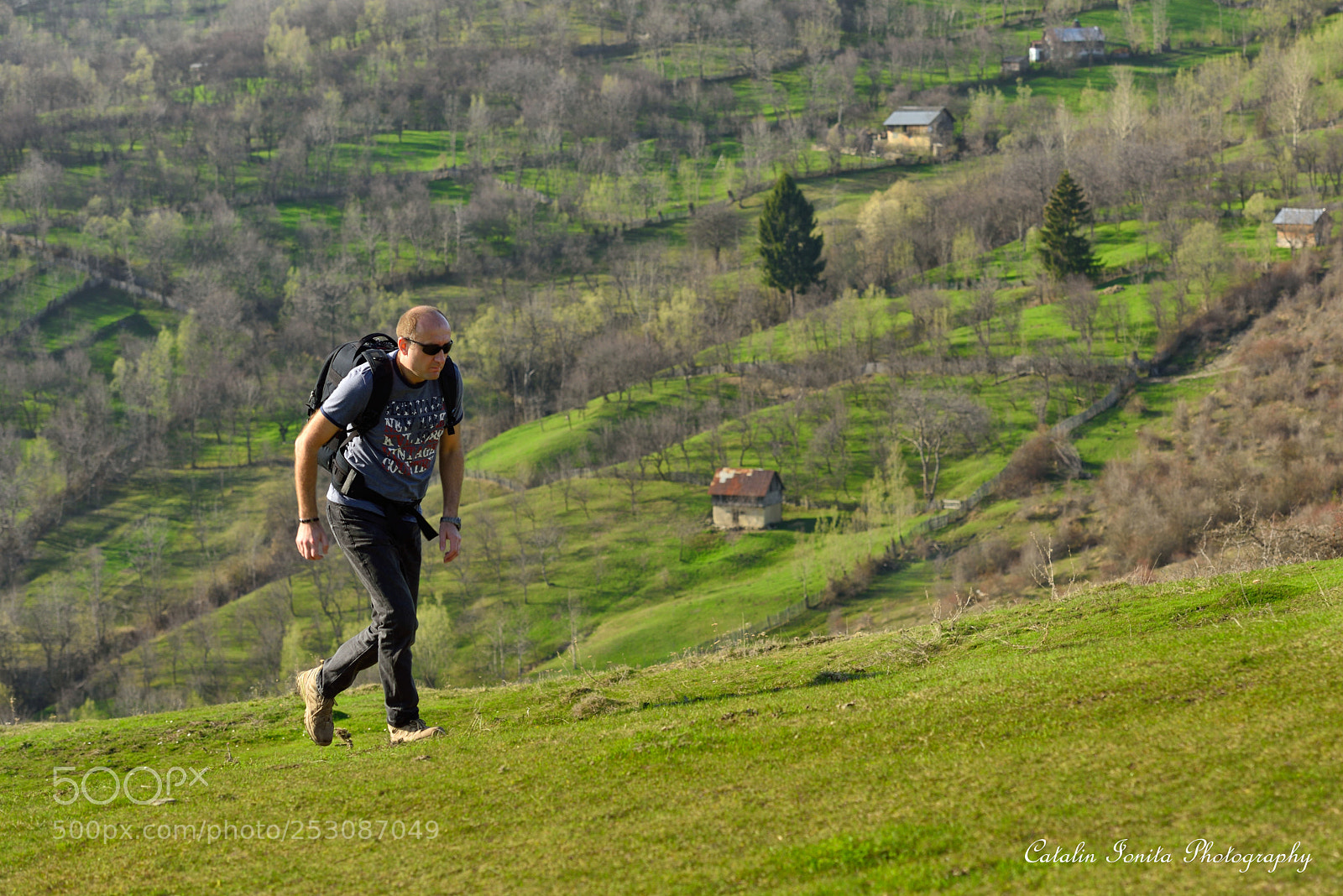 Nikon D810 sample photo. Wallachian green land photography
