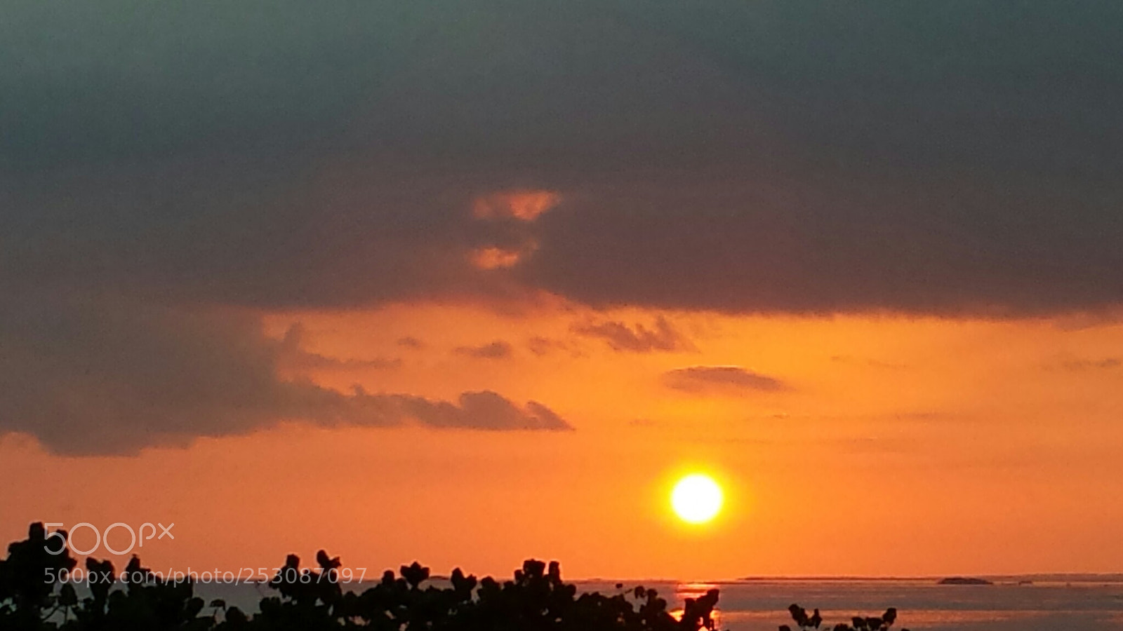 Samsung Galaxy S4 sample photo. Untitled photography