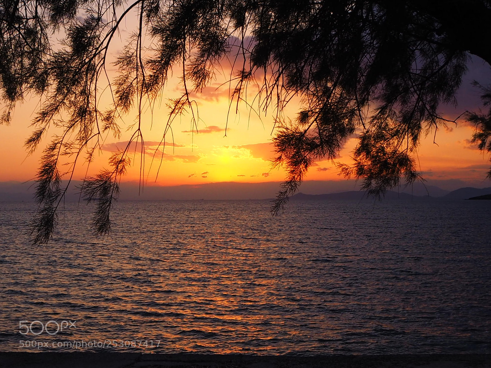 Olympus OM-D E-M10 II sample photo. This evening photography