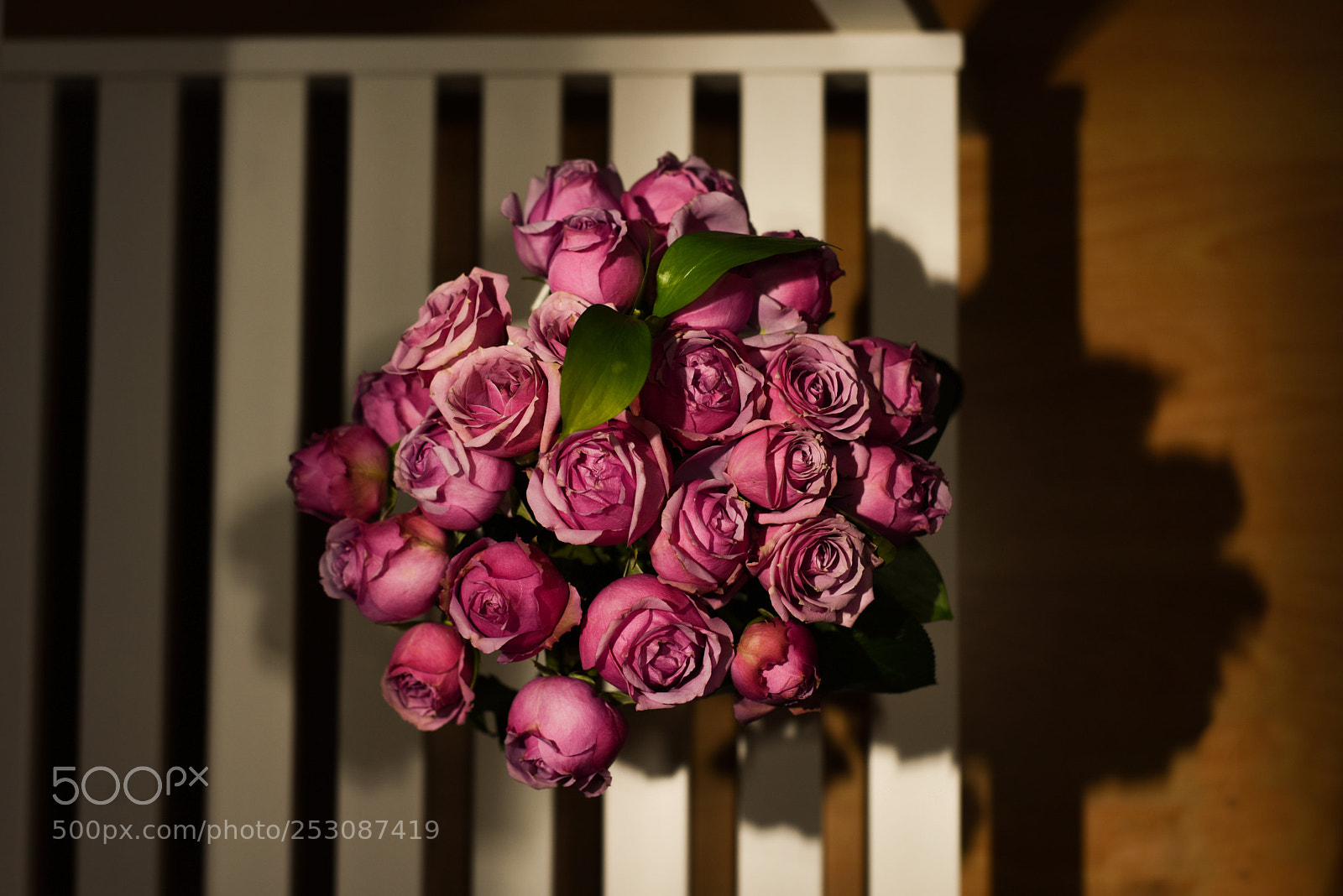 Nikon D810 sample photo. Fine roses photography