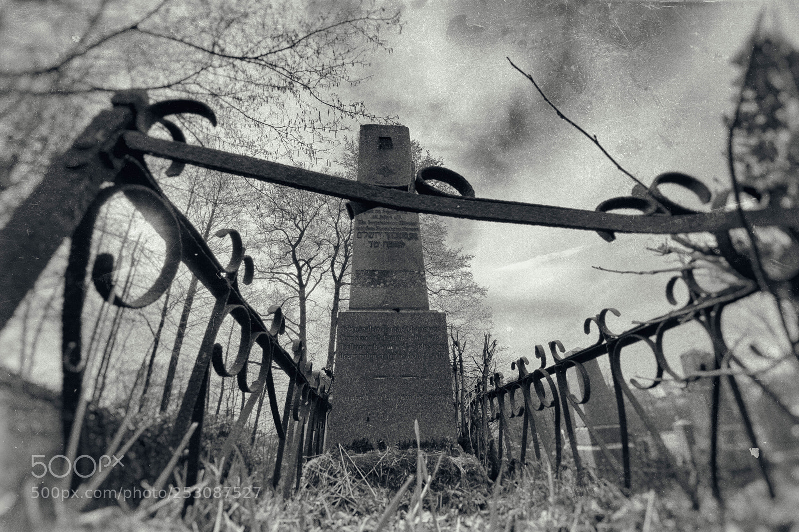 Nikon D5500 sample photo. Grave....again photography