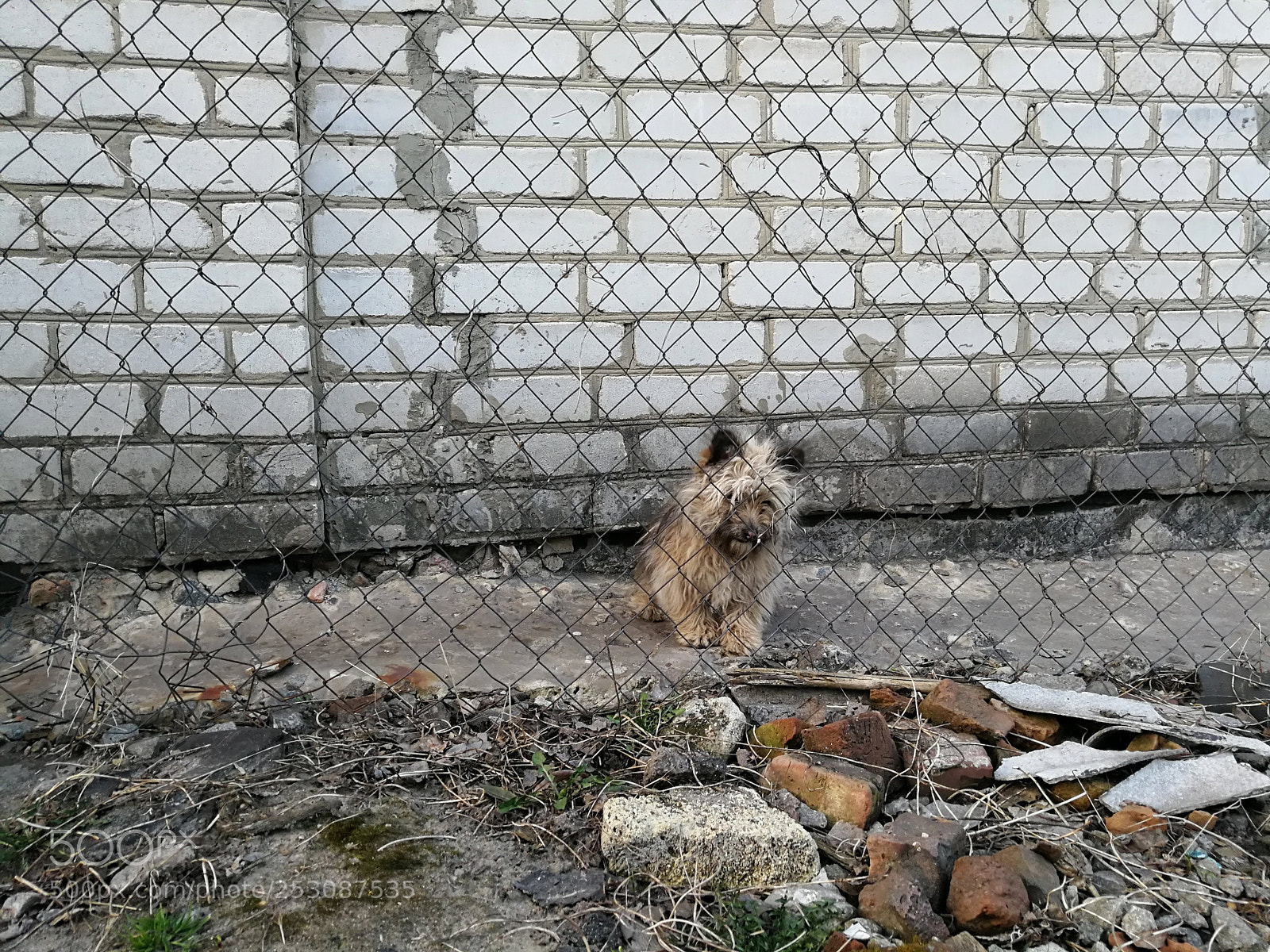 HUAWEI P10 Plus sample photo. Untitled photography