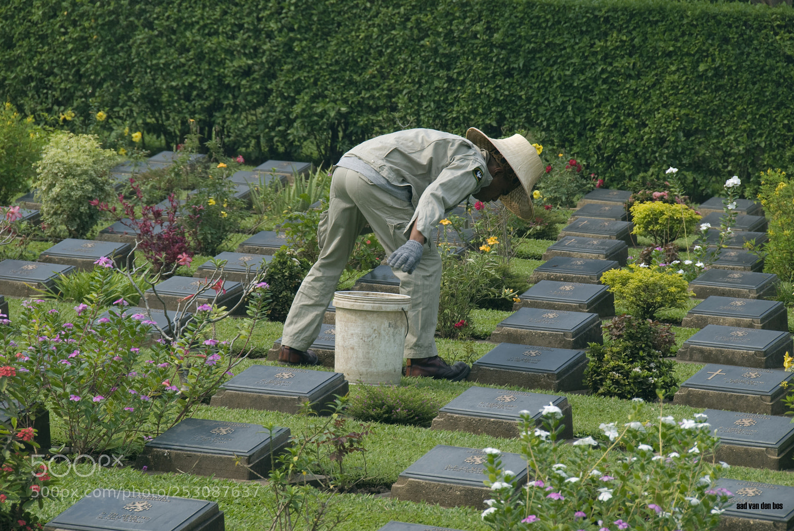 Nikon D80 sample photo. War cemetery photography