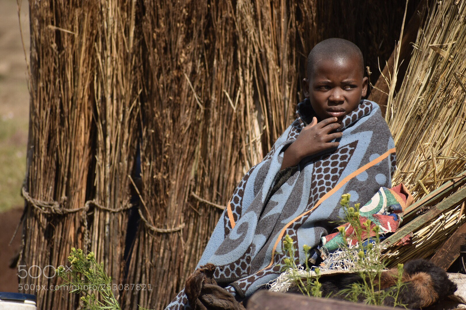 Nikon D7200 sample photo. Boy at the cabin
 photography