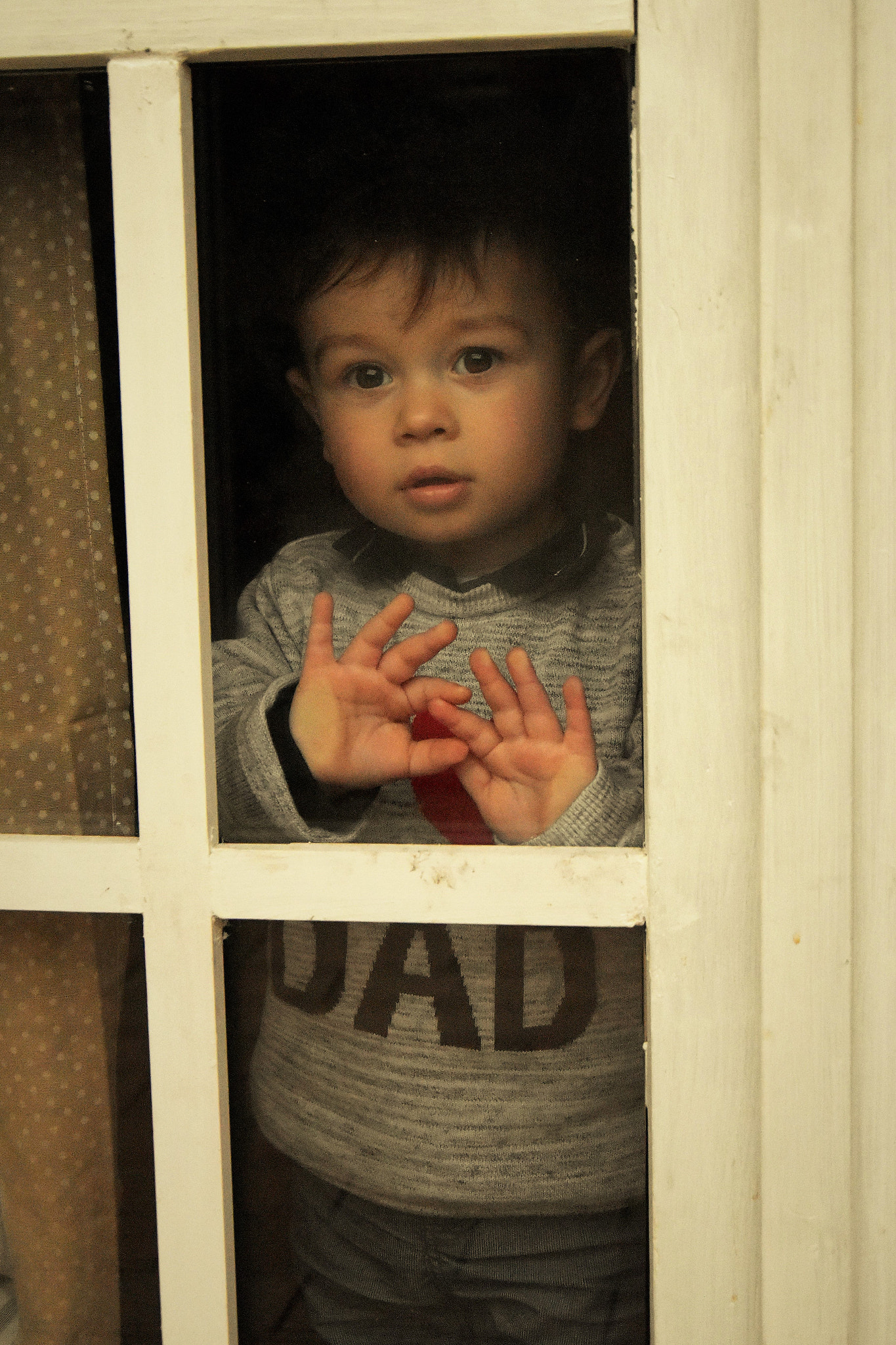 Nikon D5500 sample photo. Snoop photography