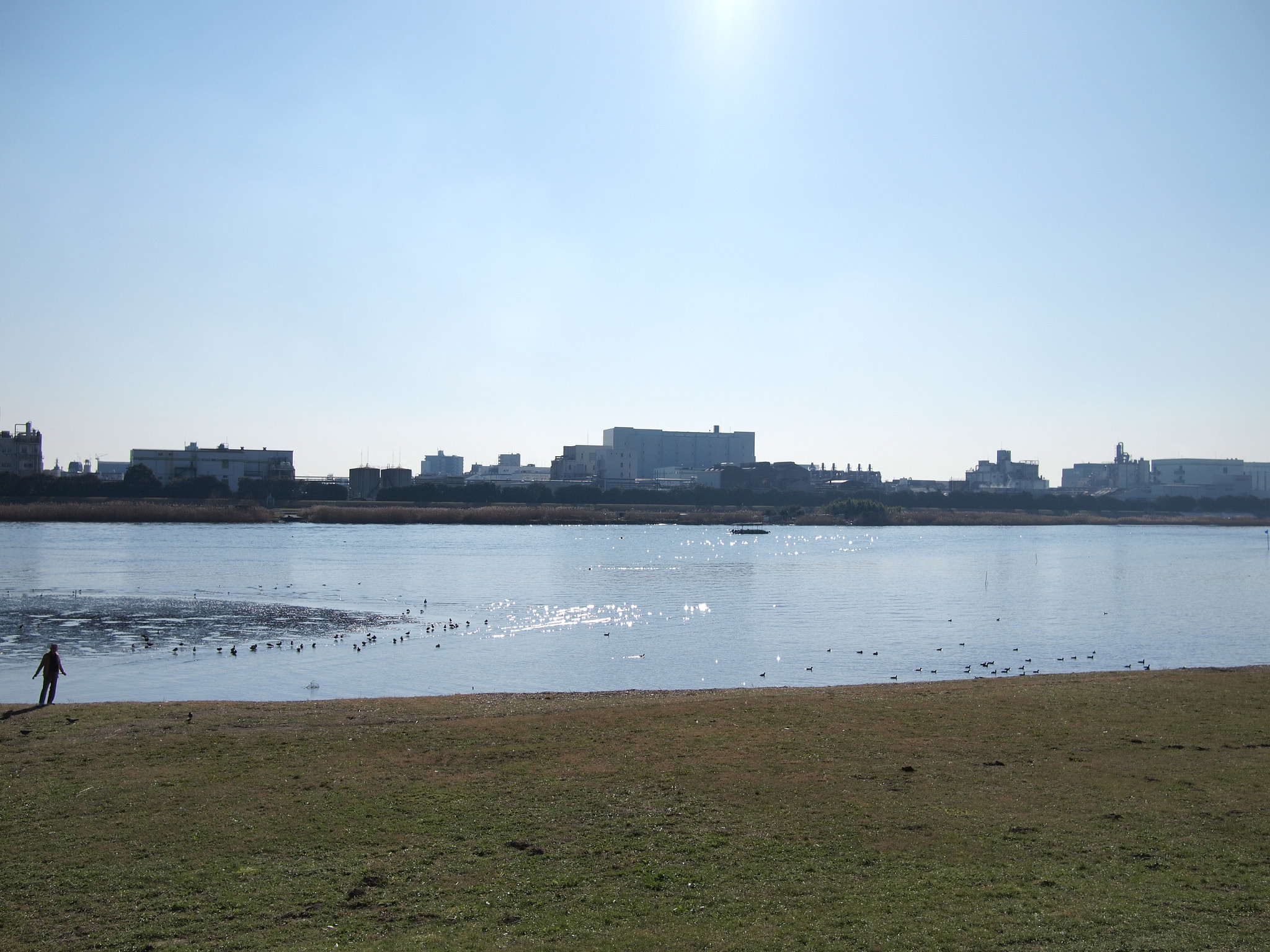 Olympus PEN E-P1 sample photo. Tama river in sunny day photography