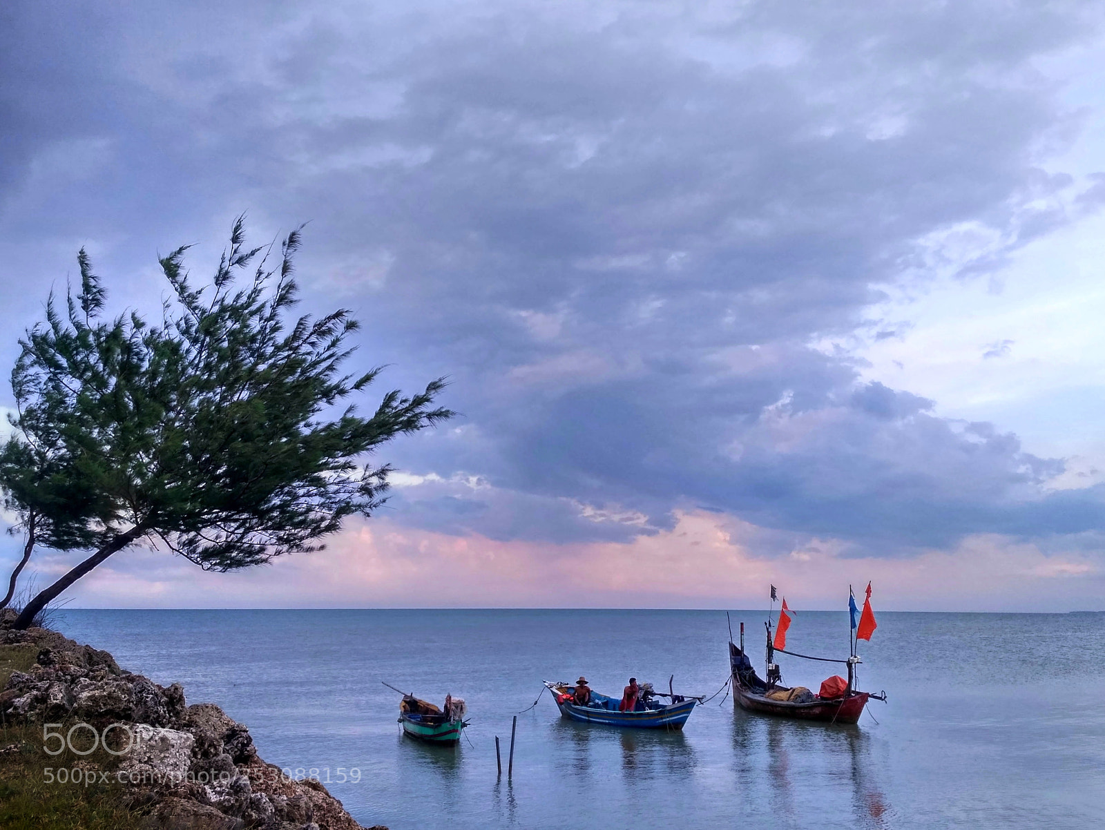 Xiaomi Redmi 3S sample photo. Untitled photography