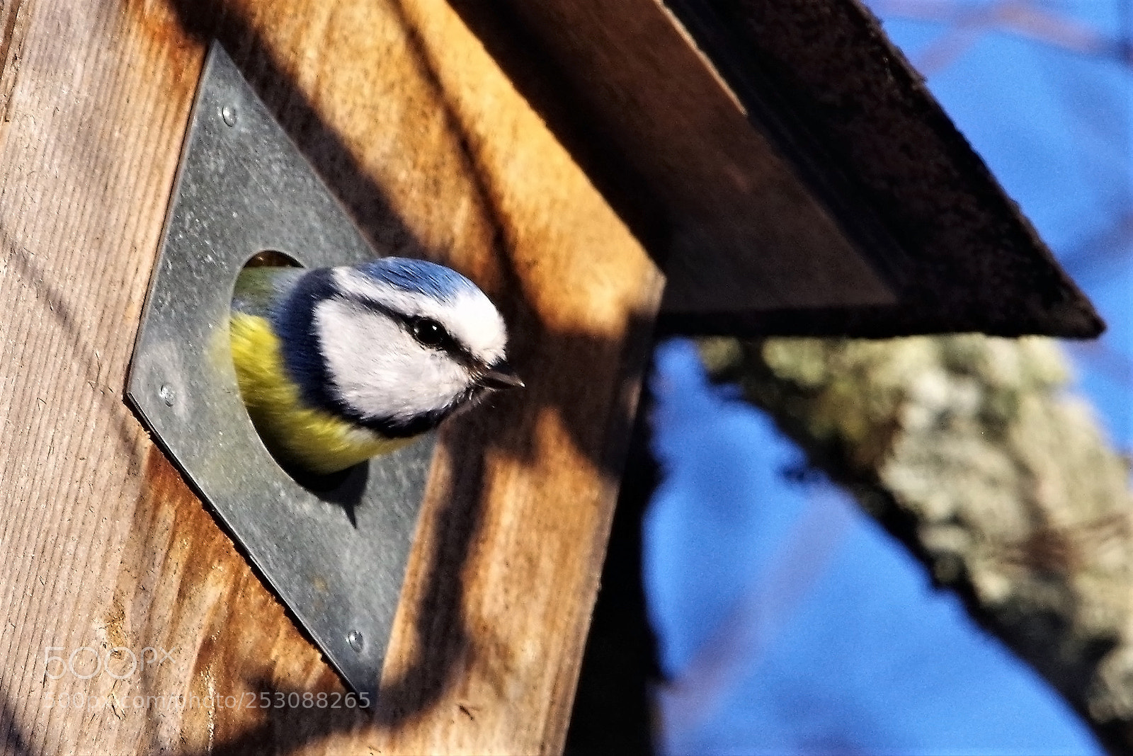 Pentax K-1 sample photo. Enjoy the sun photography