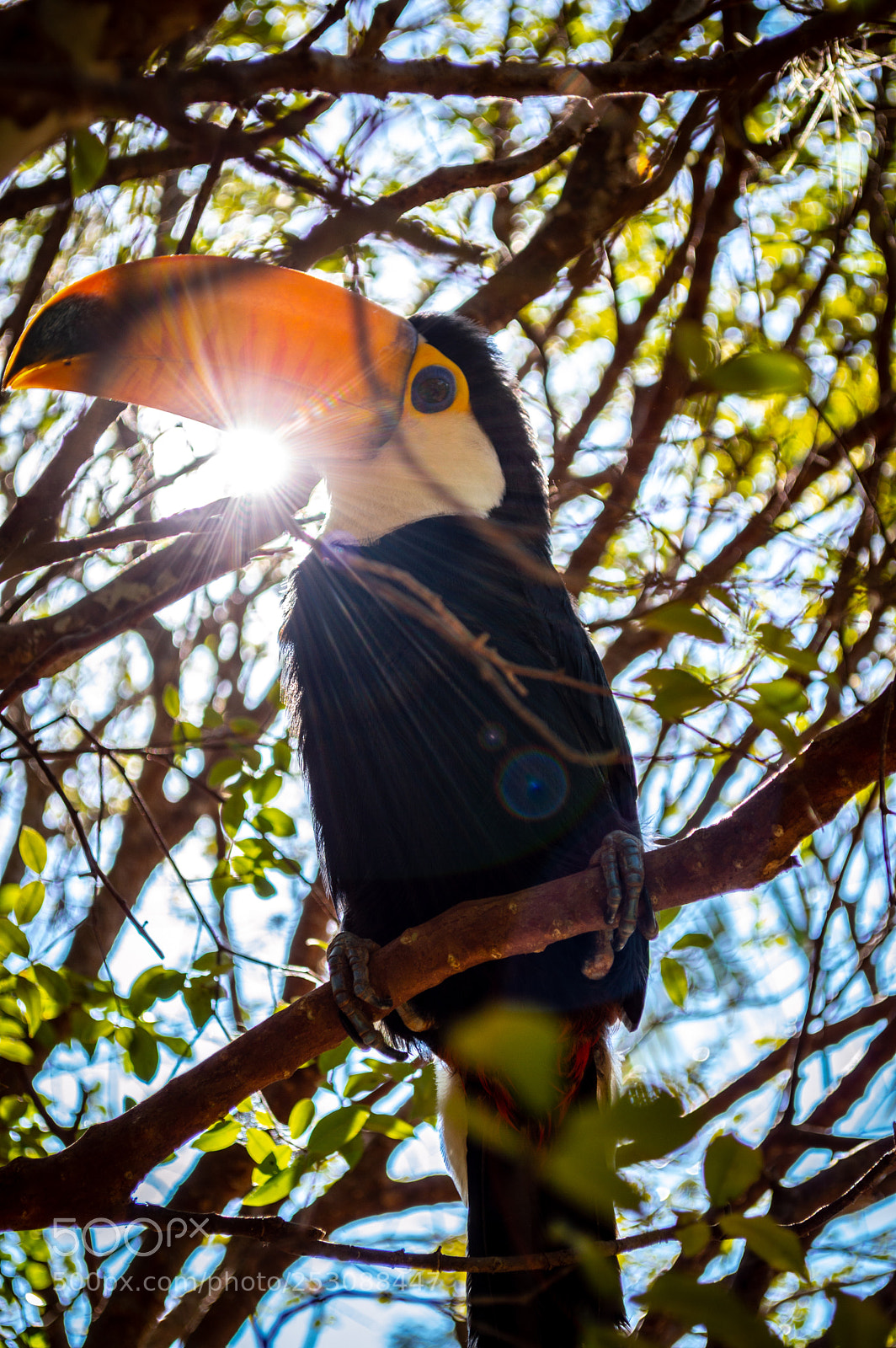 Nikon D3200 sample photo. Tucano photography